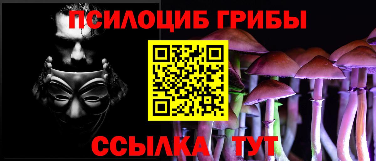 Галлюциногенные грибы MAGIC MUSHROOMS  Вход с VPN  Галлюциногенные грибы прущие грибы  Котельники 